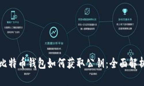 比特币钱包如何获取公钥：全面解析