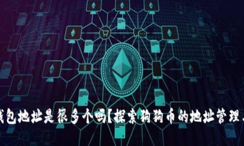 狗狗币钱包地址是很多个吗？探索狗狗币的地址管理与安全性