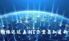 Tokenim转账迟迟未到？你需要知道的应对技巧