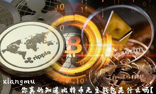 
xiangmu
    你真的知道比特币无主钱包是什么吗？