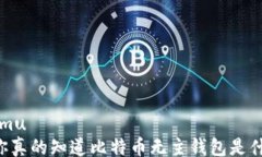 xiangmu    你真的知道比特币无主钱包是什么吗？