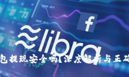 比特币钱包提现安全吗？深度解析与正确使用技巧