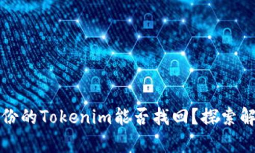 没有备份的Tokenim能否找回？探索解决方案