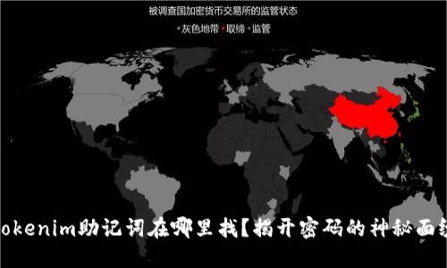 Tokenim助记词在哪里找？揭开密码的神秘面纱