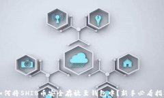 如何将SHIB币安全存放至钱包中？新手必看指南
