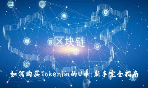 如何购买Tokenim的U币：新手完全指南