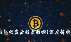 Tokenim 钱包被盗后能否找回？深度解析与应对方案