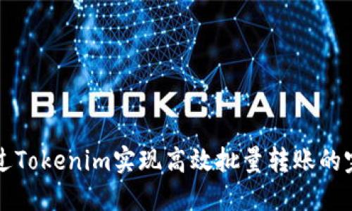 如何通过Tokenim实现高效批量转账的完整指南