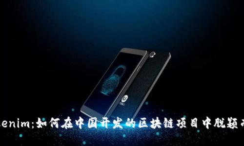 Tokenim：如何在中国开发的区块链项目中脱颖而出