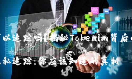 Tokenim可以追踪吗？揭秘Tokenim背后的隐私保护

Tokenim隐私追踪：你应该知道的真相