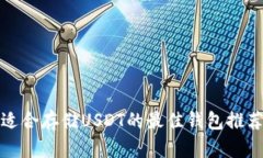 适合存储USDT的最佳钱包推荐