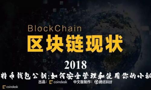 比特币钱包公钥：如何安全管理和使用你的小秘密