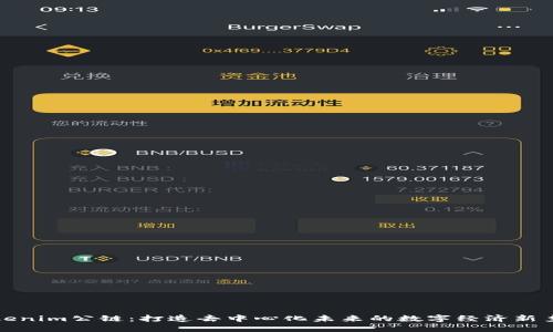 Tokenim公链：打造去中心化未来的数字经济新乡村