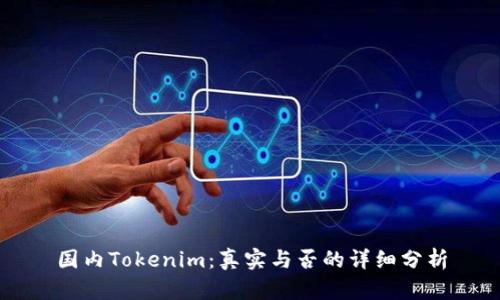 国内Tokenim：真实与否的详细分析