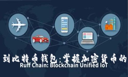 从平台到比特币钱包：掌握加密货币的每一步