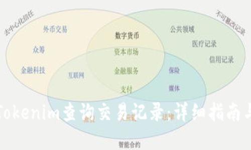 如何使用Tokenim查询交易记录：详细指南与实用技巧