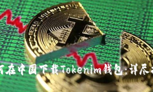如何在中国下载Tokenim钱包：详尽指南