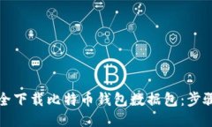 如何安全下载比特币钱包数据包：步骤与技巧