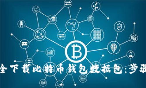 如何安全下载比特币钱包数据包：步骤与技巧