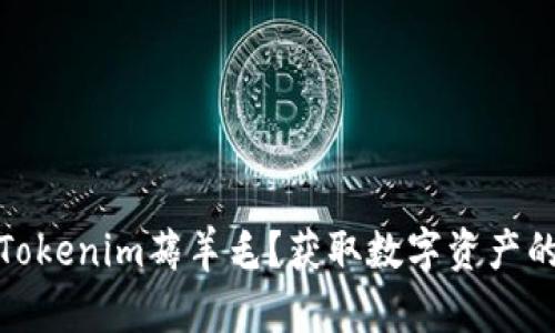 如何通过Tokenim薅羊毛？获取数字资产的神奇机会