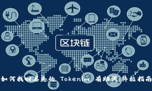 如何找回丢失的 Tokenim 有助词：终极指南