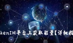 如何在TokenIM平台上获取能量？详细指导与技巧