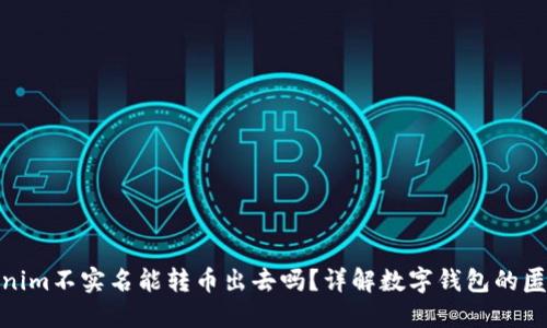 数字钱包Tokenim不实名能转币出去吗？详解数字钱包的匿名性与安全性