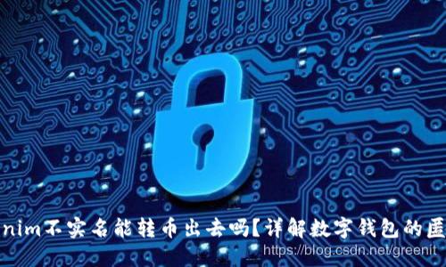 数字钱包Tokenim不实名能转币出去吗？详解数字钱包的匿名性与安全性