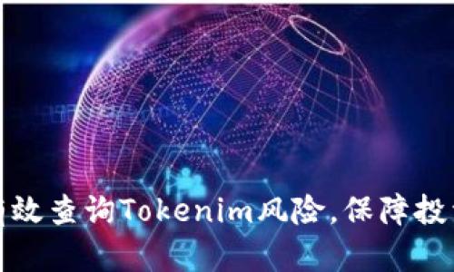 如何有效查询Tokenim风险，保障投资安全