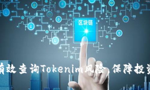 如何有效查询Tokenim风险，保障投资安全