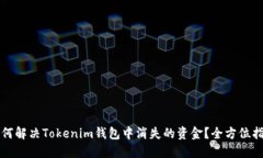 如何解决Tokenim钱包中消失的资金？全方位指南