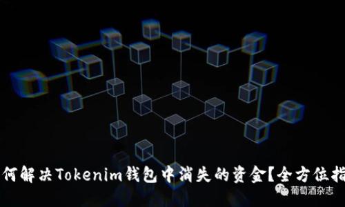 如何解决Tokenim钱包中消失的资金？全方位指南