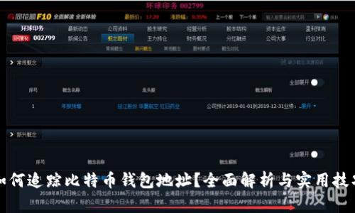 如何追踪比特币钱包地址？全面解析与实用技巧