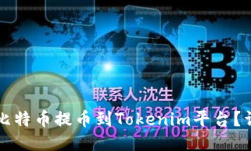 如何将比特币提币到Tokenim平台？详尽指南