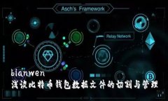 bianwen浅谈比特币钱包数据文件的切割与管理