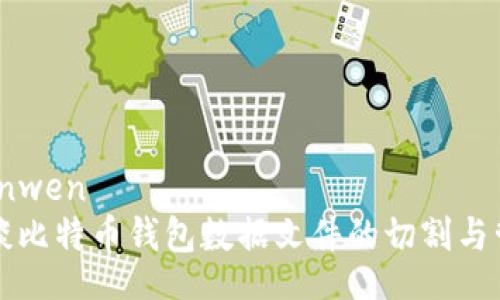 bianwen
浅谈比特币钱包数据文件的切割与管理