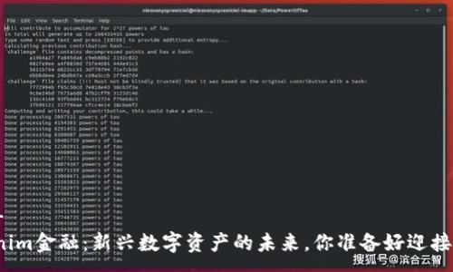 ----  
Tokenim金融：新兴数字资产的未来，你准备好迎接了吗？