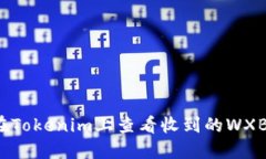 如何在Tokenim上查看收到的WXB资产？