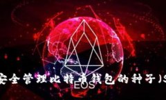 如何安全管理比特币钱包的种子（Seed）