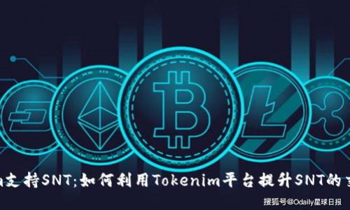 Tokenim支持SNT：如何利用Tokenim平台提升SNT的交易体验