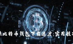 如何加快比特币钱包下载速度：实用技巧与建议