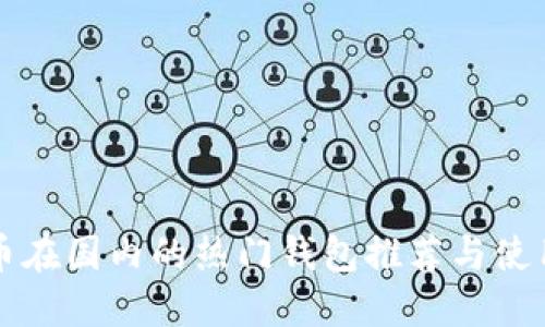 比特币在国内的热门钱包推荐与使用指南