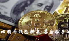 2023年大户比特币钱包排名：幕后推手的温暖与风