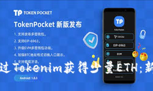 如何通过Tokenim获得少量ETH：新手指南