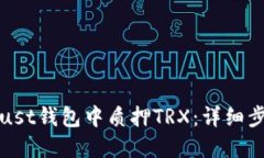 如何在Trust钱包中质押TRX：详细步骤与技巧