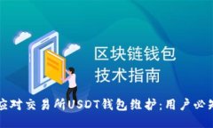 如何应对交易所USDT钱包维护：用户必知指南