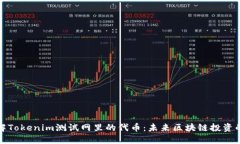 深入了解Tokenim测试网里的代币：未来区块链投资
