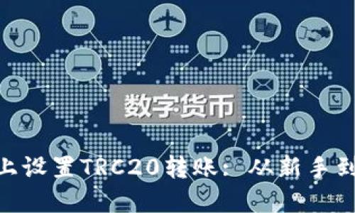 如何在Tokenim上设置TRC20转账: 从新手到高手的全面指南