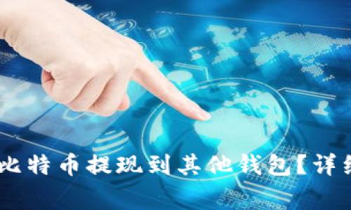 如何将OKEx上的比特币提现到其他钱包？详细指南与注意事项