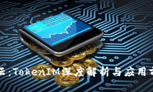 雨后祥云：TokenIM深度解析与应用前景探讨